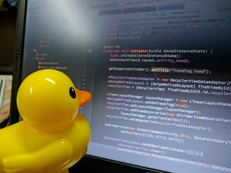 image, (alt = "A rubber duck calmly inspecting some code.")